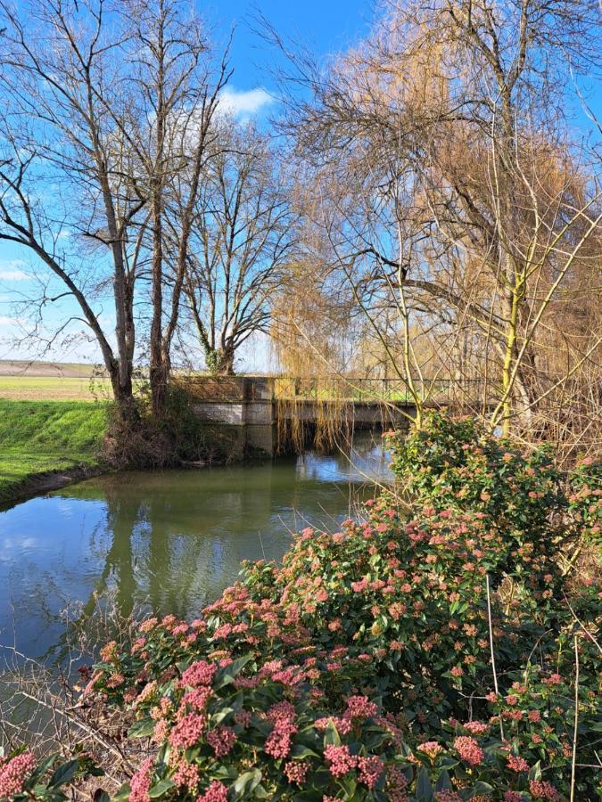 Le Moulin Etourneau - 3 Gites Avec 2 Piscines Champagnac  Luaran gambar